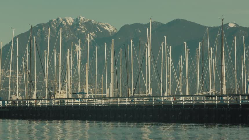 A marina of sailboats bobbing in the early morning light