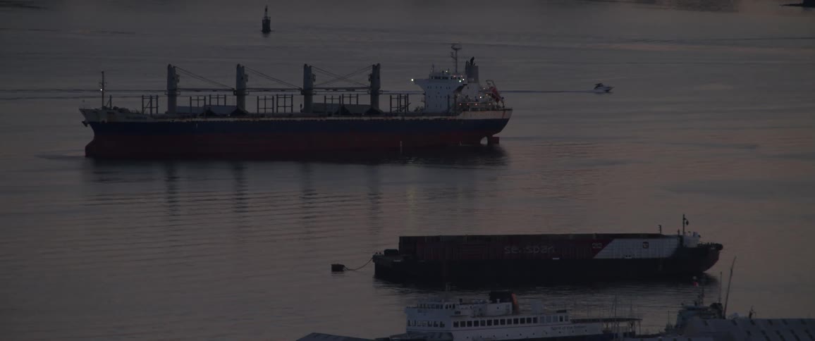 Large shipping freights anchored on the coast at dusk as smaller boats sail by