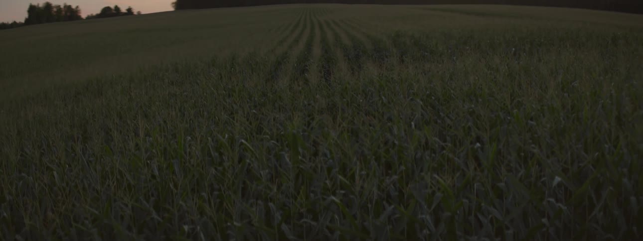 A large field in the countryside in the evening