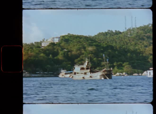 The view is of the nature area in the day time