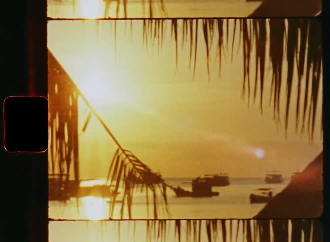 Palm fronds allow view of sun shining from red sky onto boats at sea