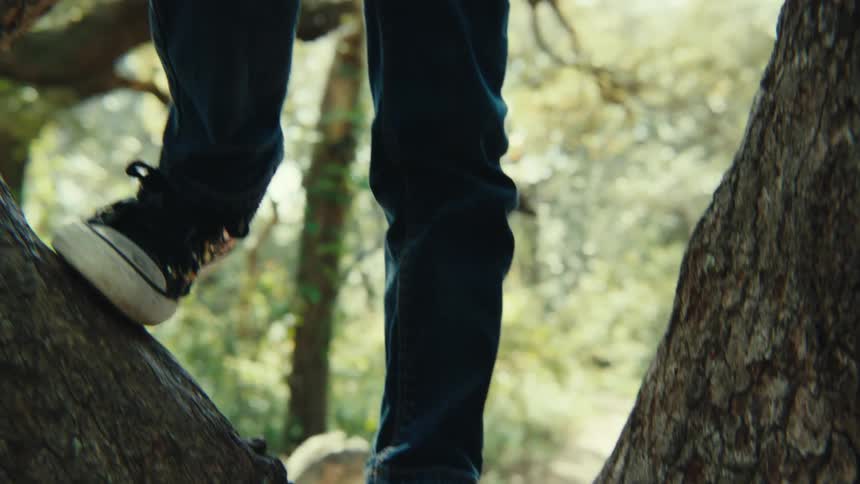 A child is climbing a tree and is at a fork
