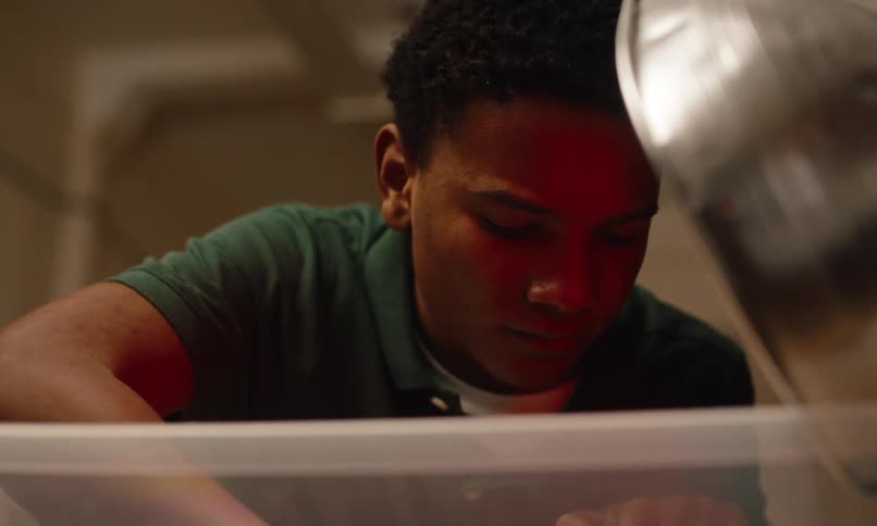 Close up of a teenage boy leaning over a plastic bin with an animal light on it
