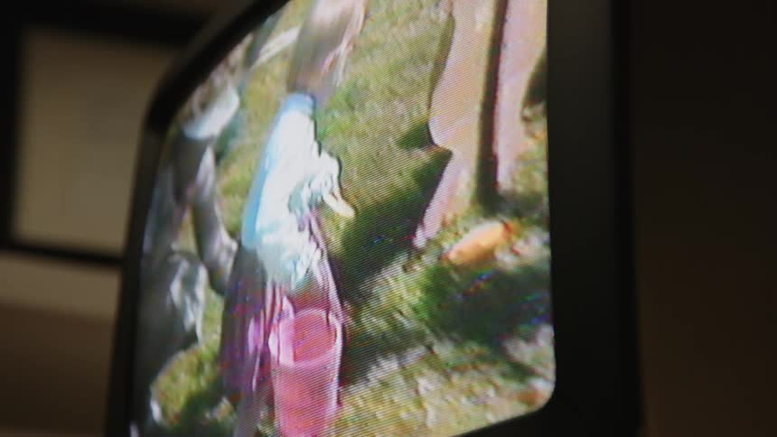 Television displays broadcast of an easter egg hunt