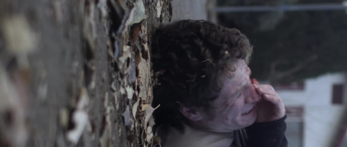 Man lies on ground among fallen leaves clutching injured face and crying