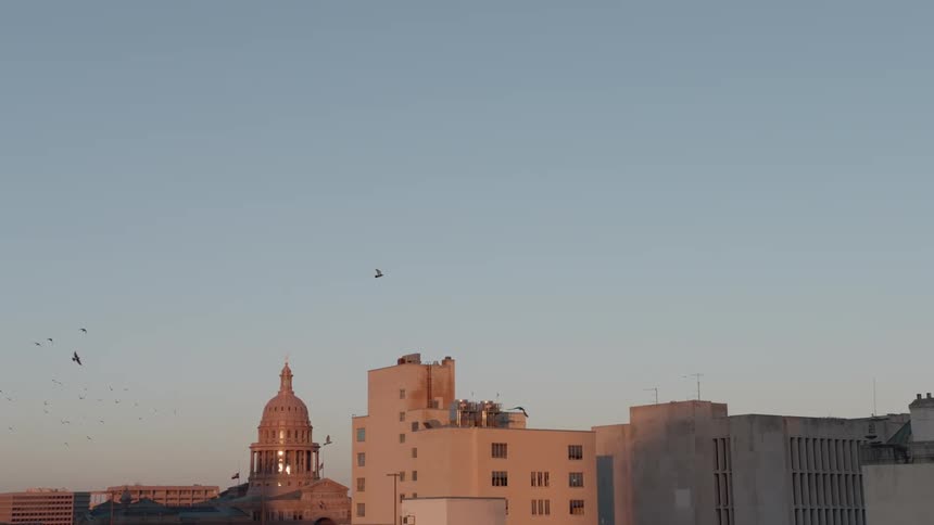 Birds fly in the sky above buildings