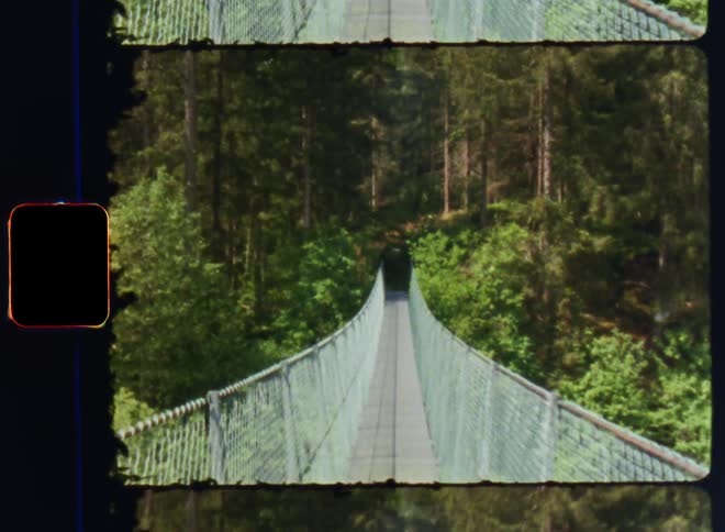 A small rope bridge leads to the forest