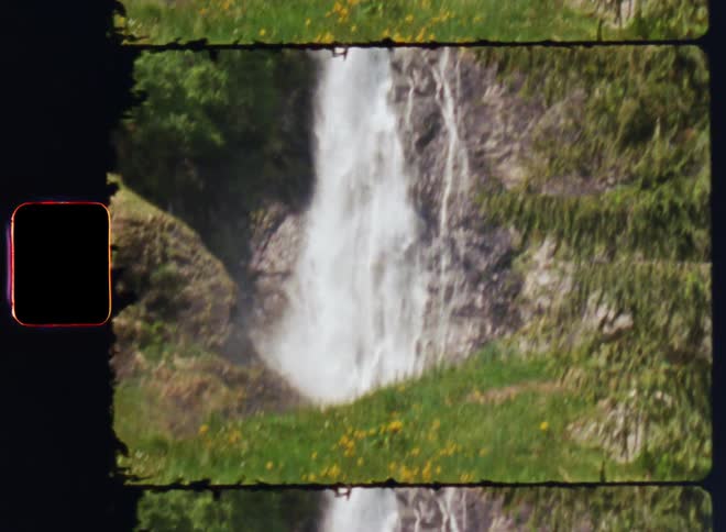 A large waterfall with water flowing rapidly over it showing a grassy bottom with yellow flowers grown up
