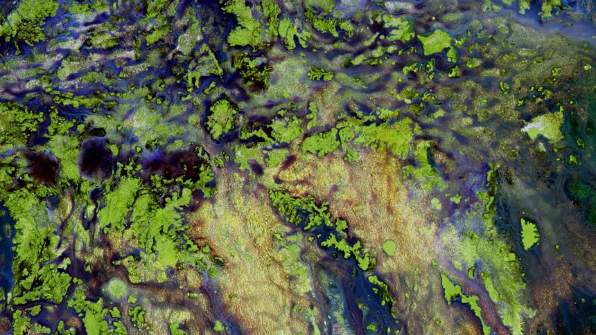 Green particles float in the streams through the textured surface of colors as they move and flow as blue and green fall in