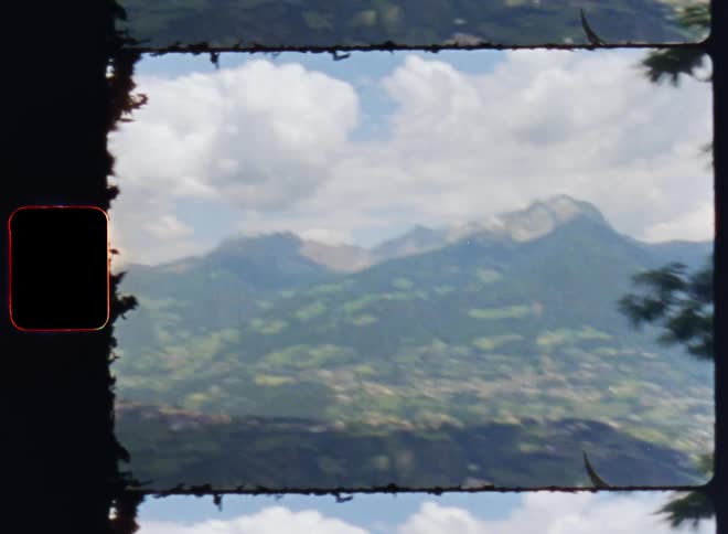 The view is of a portrait of the nature area