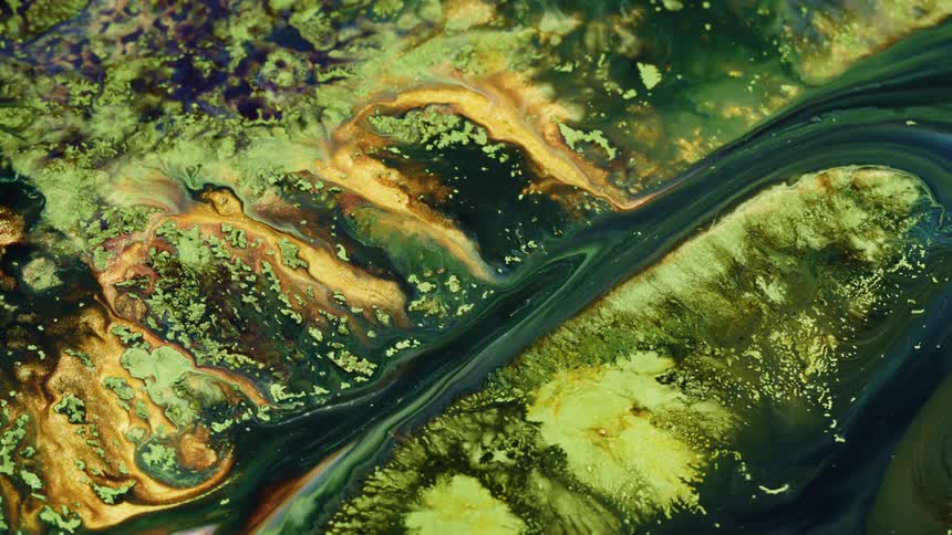 a green river mixes with golden paint in this surreal liquid satellite image