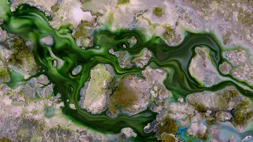 green paint flows on a textured surface like a river in the mountains