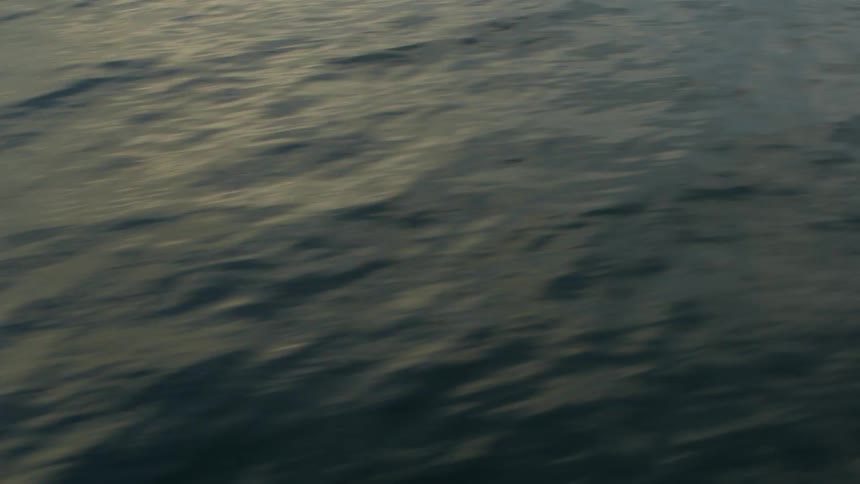 The light reflects on the water