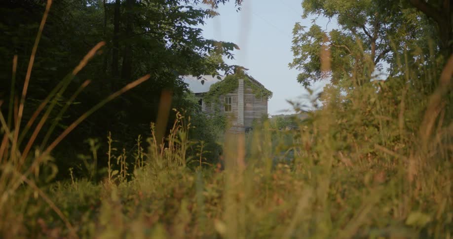 A home is surrounded by trees and brush