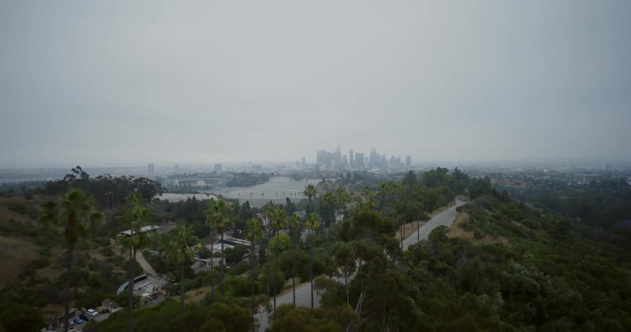 The palm treelined street offers a picturesque view of los angeles as towering palm trees sway gently in the breeze framing the vibrant cityscape below
