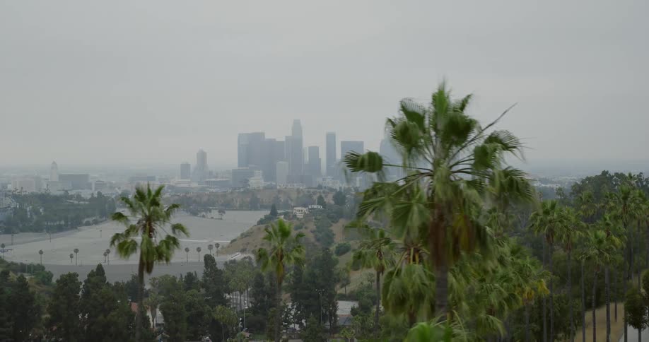 The city is covered in fog