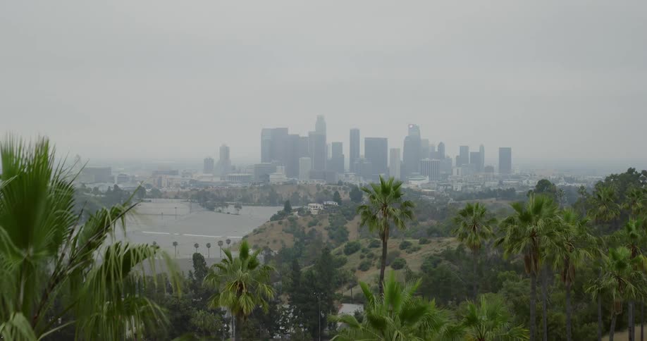 An aerial shot of tropical trees and a distant coastal city under gray skies