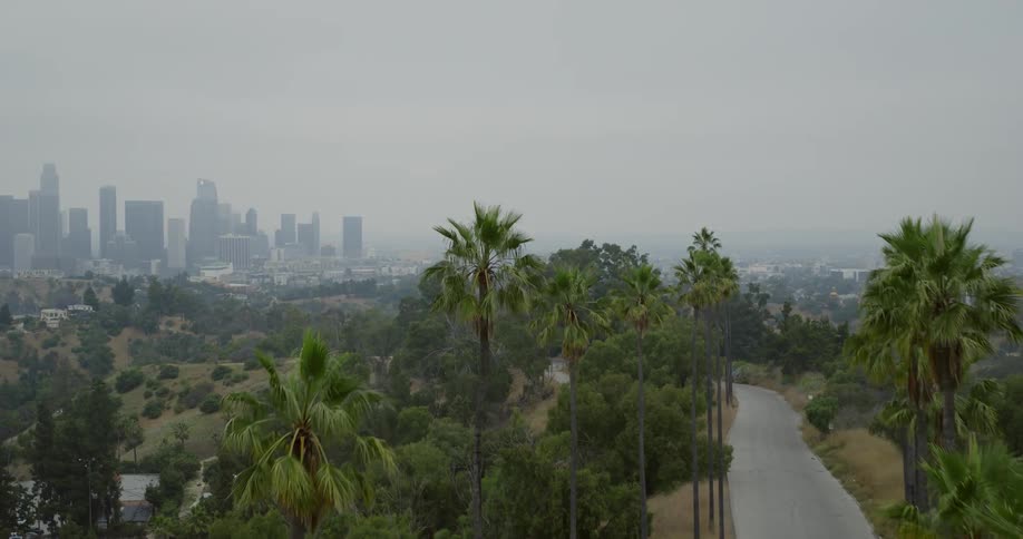 A distant city skyline is covered in fog