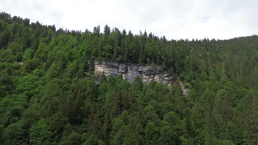 A cliff face on a mountain slope covered in dense forest during the day