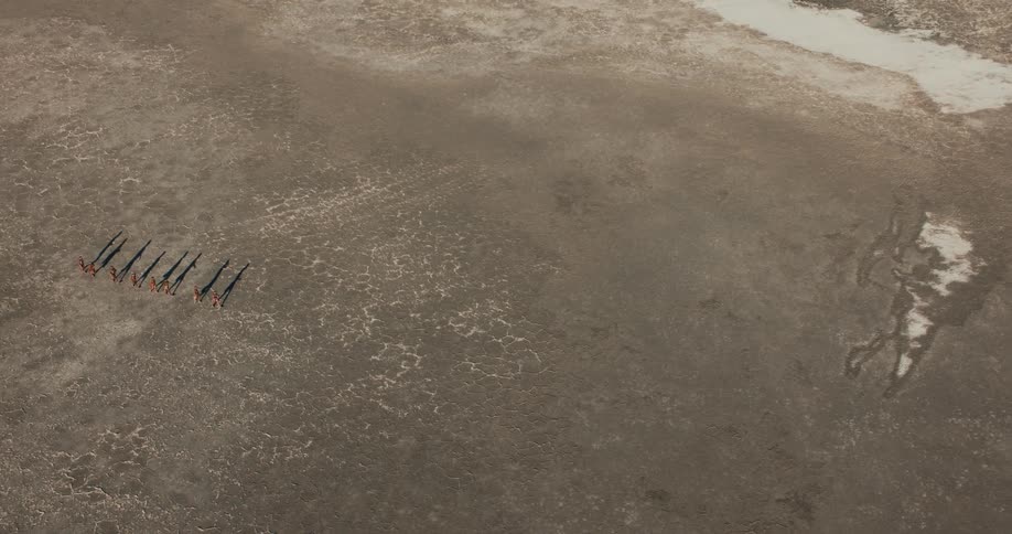 Small group of bushmen crossing the salt pan on foot