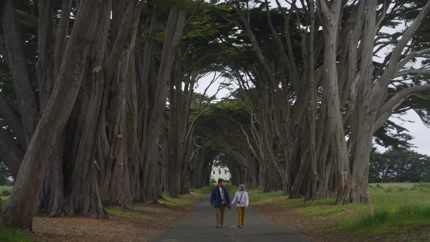 A man and a woman walk through a path surrounded by curling trees