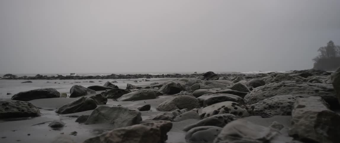 Rocks on a beach