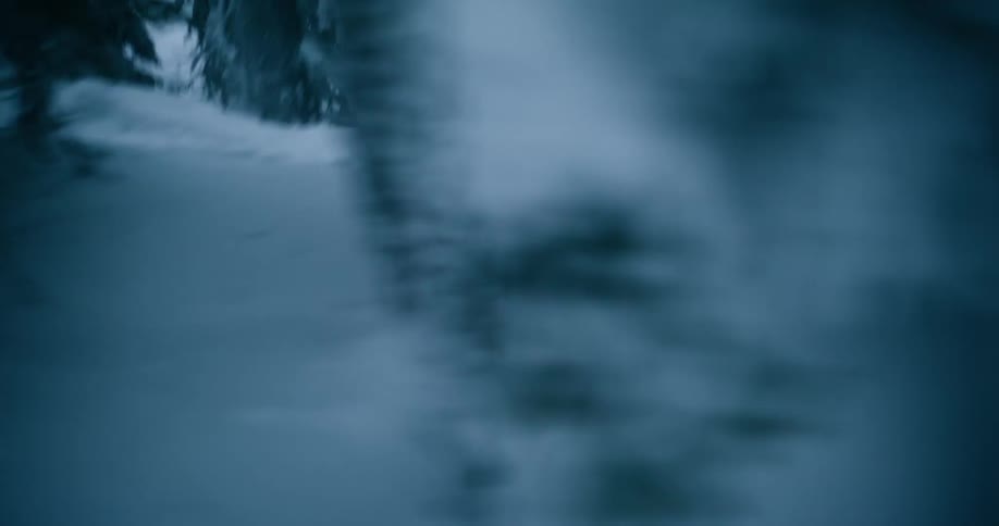 A large dog runs and bounds through deep snow in a forest