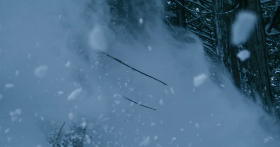 A skier sends a cloud of snow into the air behind them as they ski through woodland on a mountain slope during the day