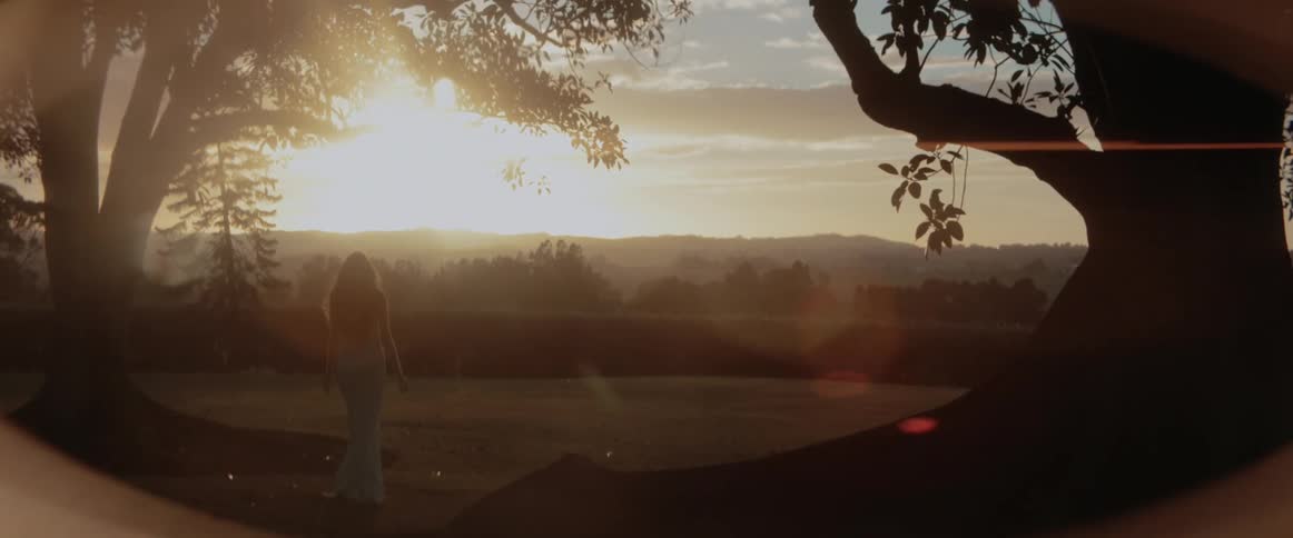 Woman wearing gown walks onto field past large trees silhouetted by sun on horizon over foggy terrain