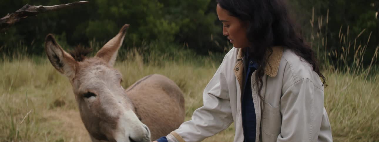 A young woman pets the head of a donkey thats standing in a grassy field