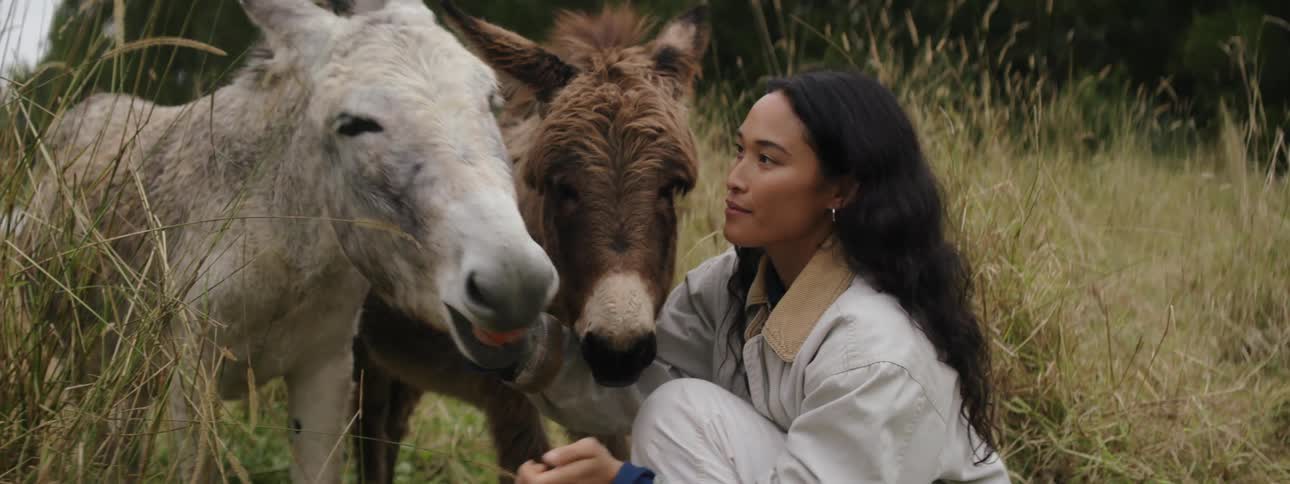 Woman pets donkeys and feeds them a carrot while crouching in field