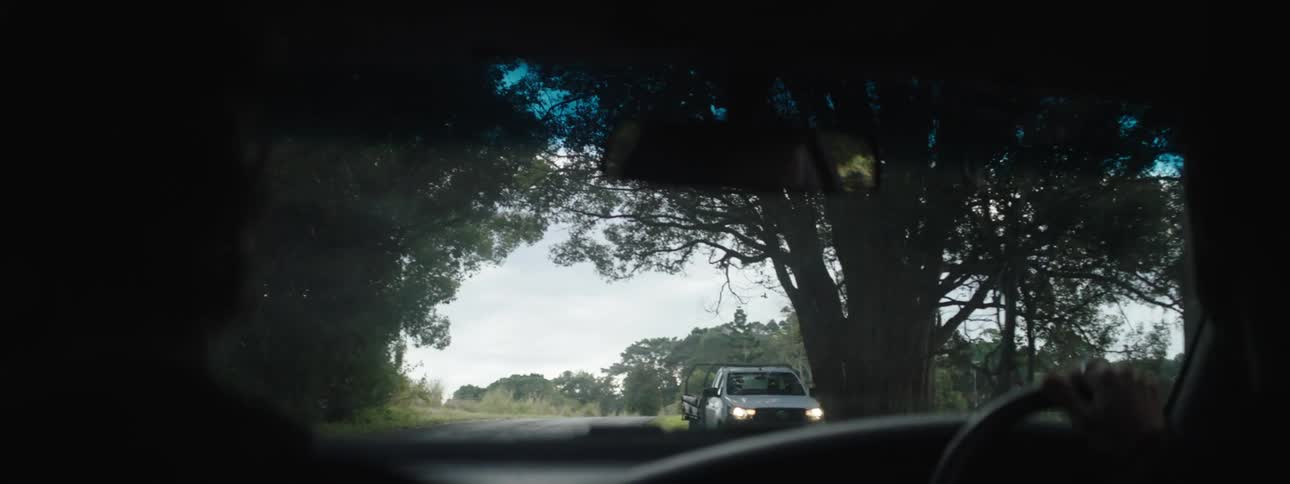 Man drives car on road through forest laughing
