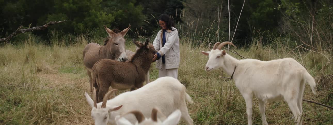 A woman smiles as she stands in a field with goats and donkeys and pets the donkeys