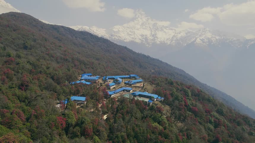 Buildings on a hillside in a forest
