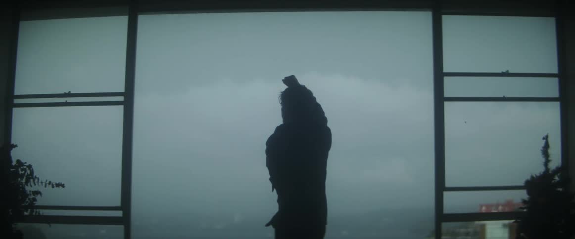 Person leaning against window is silhouetted against overcast sky