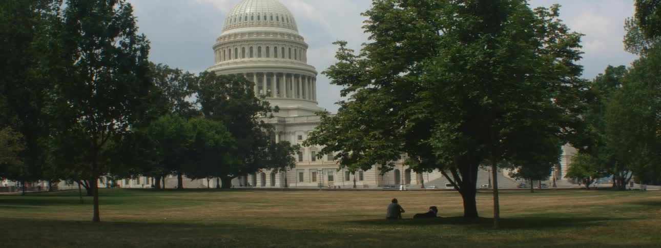 Person and dog sits under tree watching united states capitol