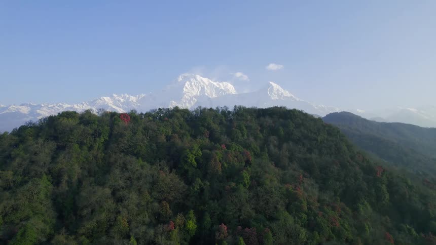 An aerial view of a wooden mountain revealing an icy mountain in the background