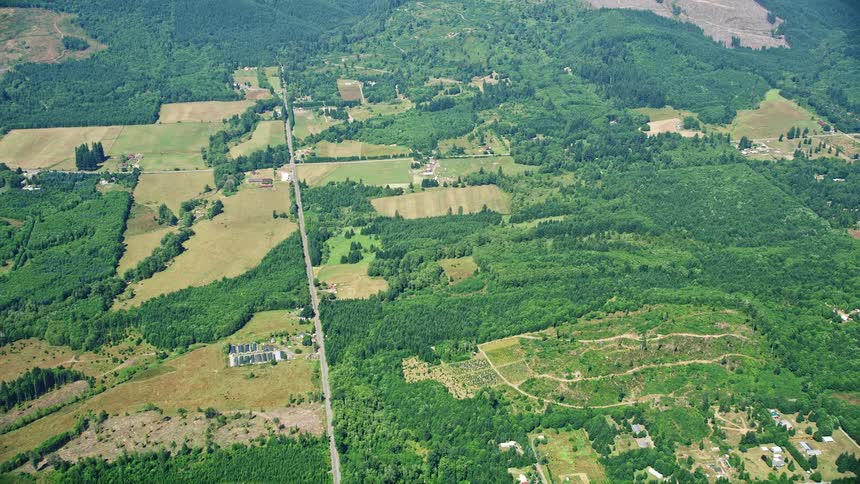 Aerial view of sunny farmland as the camera flies away from farms in Silver Creek Washington surrounded by trees