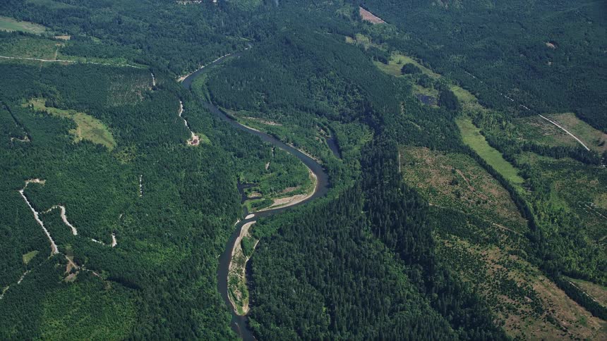 Aerial view of Skookumchuck River winding through evergreen forest in Thurston County Washington on a sunny day