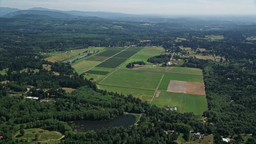 Aerial footage capturing several large square fields surrounded by forests in a rural area in La Center Washington during summer