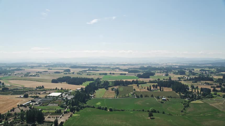 Aerial view of large fields and farms in Hillsboro Oregon during summer