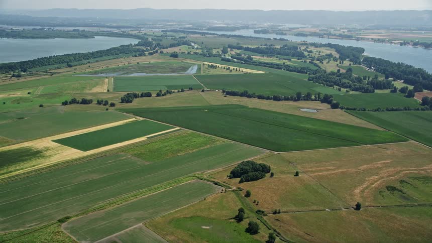 Wide green farm fields in Vancouver Washington captured in a beautiful aerial view during summertime