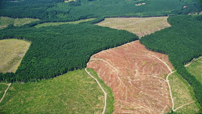 Aerial view of evergreen forests and clear cut logging areas in Lewis County Washington with sunshine and a clear cutting operation visible