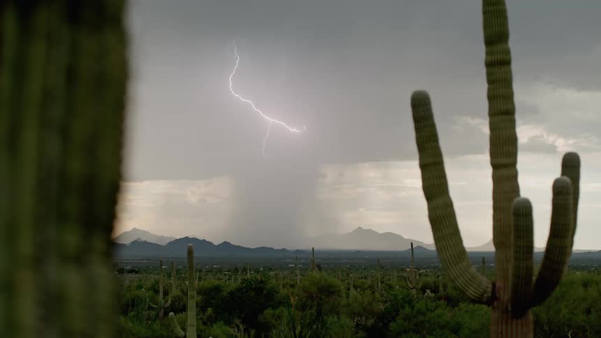 Lightning full of branches falling from the sky into a cactusfilled exterior