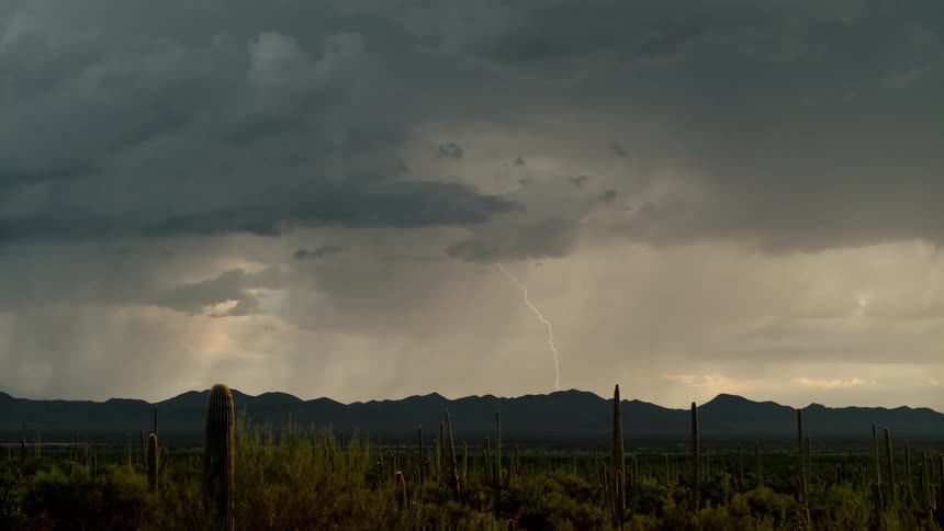 Cacti scattered across desert contrast with mountains under a lightning storm