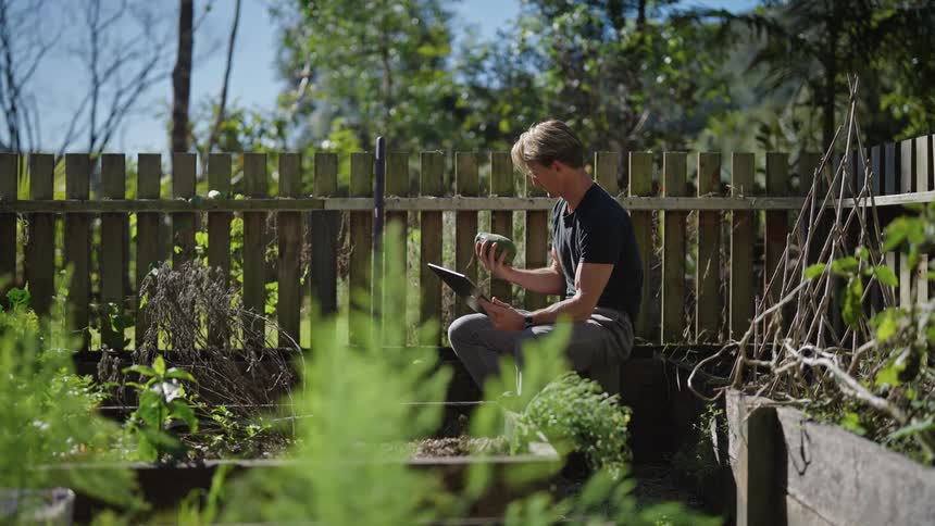 Man sitting in a vegetable garden using his tablet