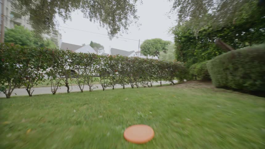 In front yard man plays fetch by throwing frisbee