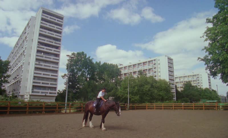 A woman sitting on the back of a horse as it stands in the middle of a pasture near city buildings