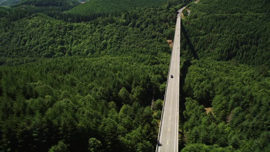 An aerial view of a long bridge with an SUV crossing it surrounded by bushy trees on Spirit Lake Highway in Cowlitz County Washington