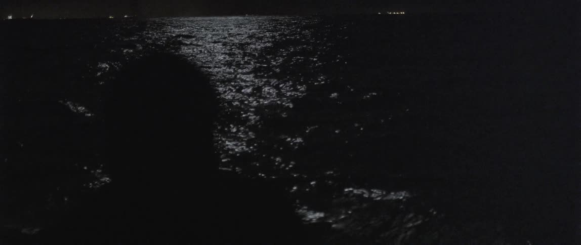 A person stands in shadow as they look out across an ocean at night